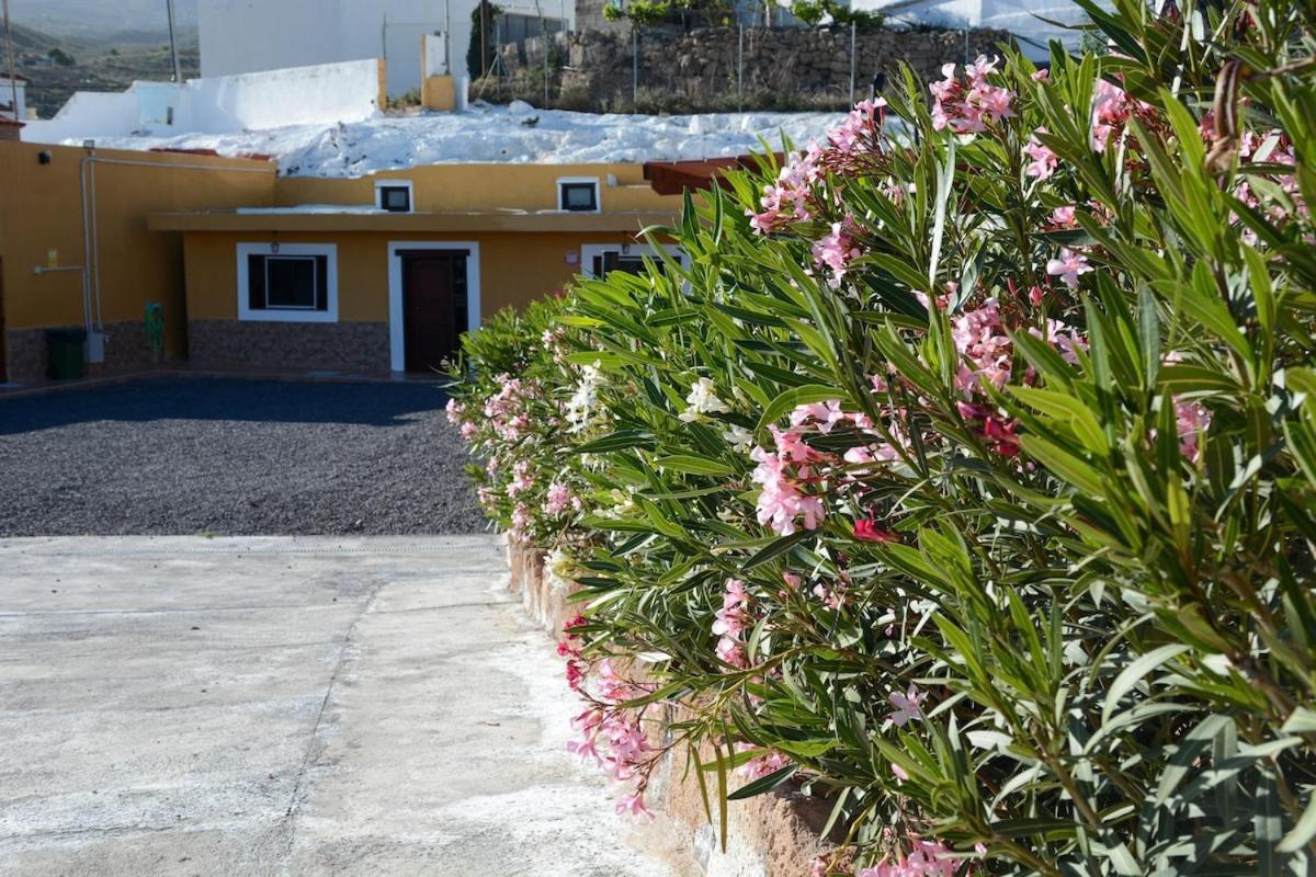 Casa Cueva Mansos Santa Cruz de Tenerife